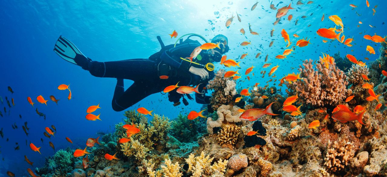Adventure Activities and Adventure Sports Travel Insurance – Your Top Choices
