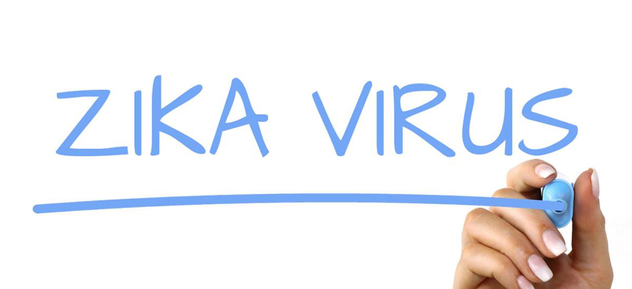 Zika Virus Travel Alerts: All You Need to Know