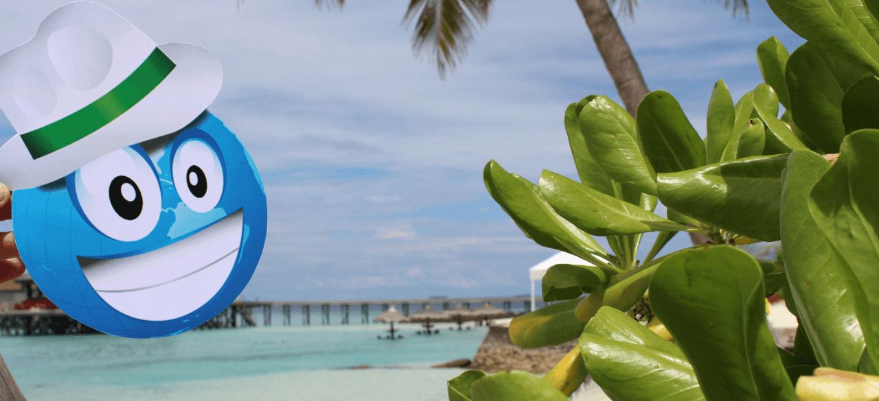 What Differs Globelink from Others – Why to Choose Us?